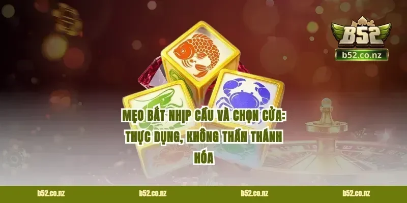 Mẹo bắt nhịp cầu và chọn cửa: thực dụng, không thần thánh hóa