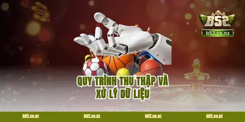 Quy Trình Thu Thập Và Xử Lý Dữ Liệu