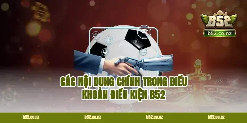 Các nội dung chính trong điều khoản điều kiện B52