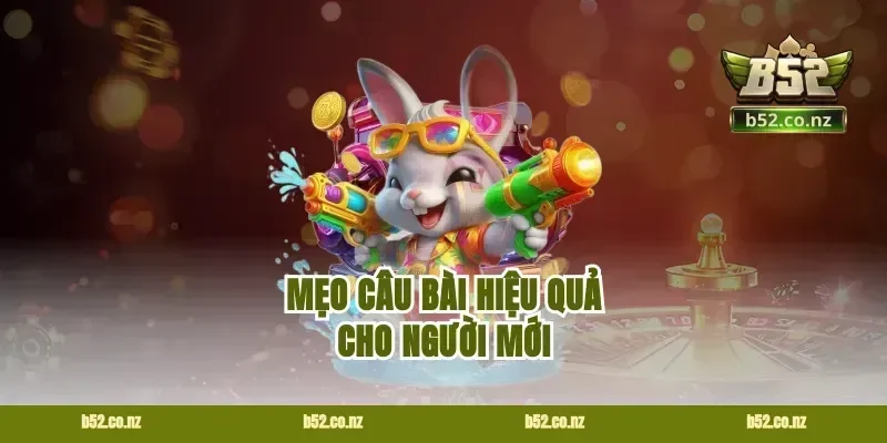 Mẹo câu bài hiệu quả cho người mới