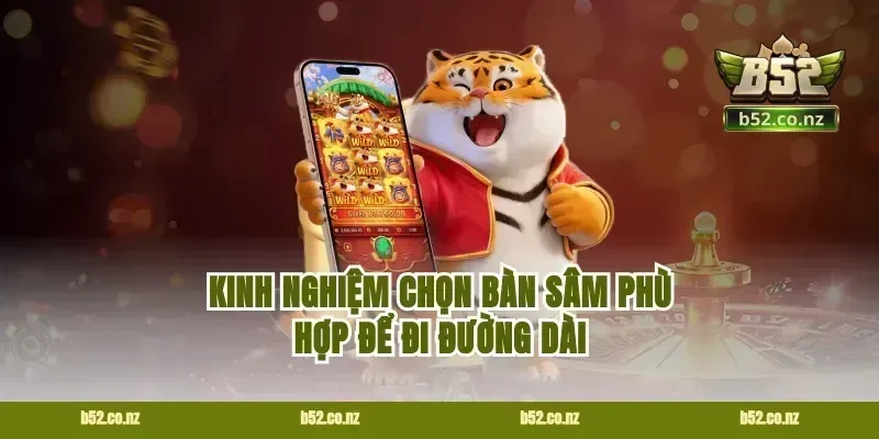 Kinh nghiệm chọn bàn sâm phù hợp để đi đường dài